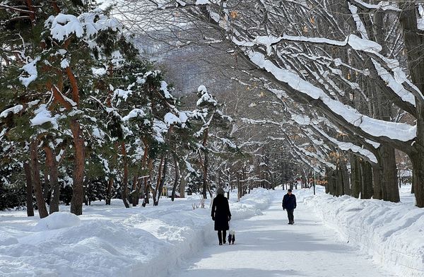 ▲▼北海道札幌。（圖／CJ夫人授權提供）