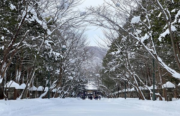 ▲▼北海道札幌。（圖／CJ夫人授權提供）