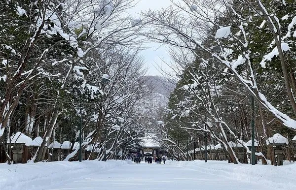 ▲▼北海道札幌。（圖／CJ夫人授權提供）