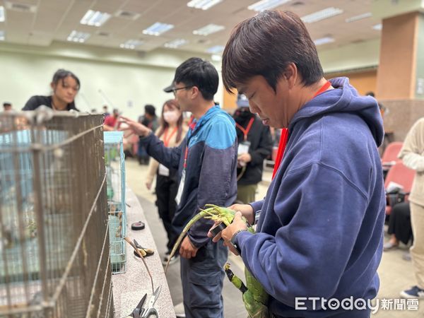 ▲▼高雄首波綠鬣蜥獵人完訓，獵龍大隊最年輕19歲。（圖／記者賴文萱翻攝）