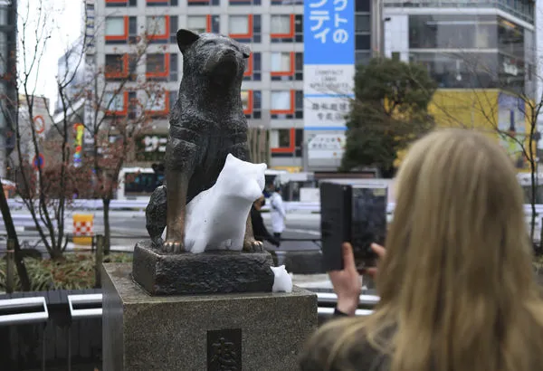 ▲▼日本東京澀谷八公像，忠犬小八。（圖／達志影像／美聯社）