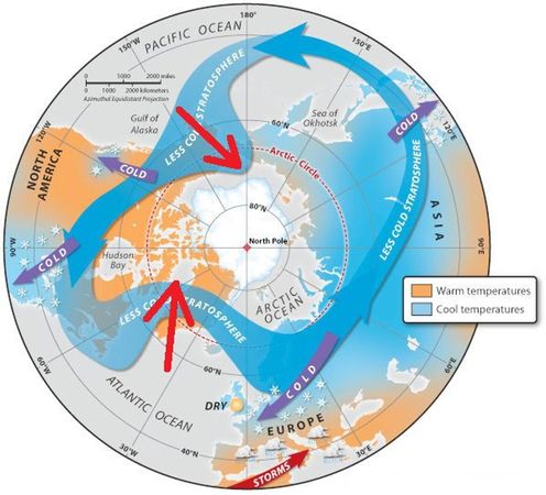 鄭明典解釋負北極振盪之主要冷空氣外流路徑。（翻攝自鄭明典臉書）