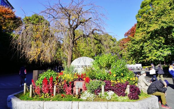 ▲▼日本第一座都市公園！百年歷史城市綠洲　動物園與神社亮點搶先看。（圖／Mika出走美食日誌提供）