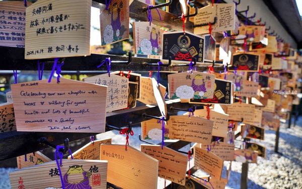 ▲▼日本第一座都市公園！百年歷史城市綠洲　動物園與神社亮點搶先看。（圖／Mika出走美食日誌提供）