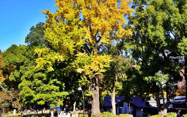 ▲▼日本第一座都市公園！百年歷史城市綠洲　動物園與神社亮點搶先看。（圖／Mika出走美食日誌提供）