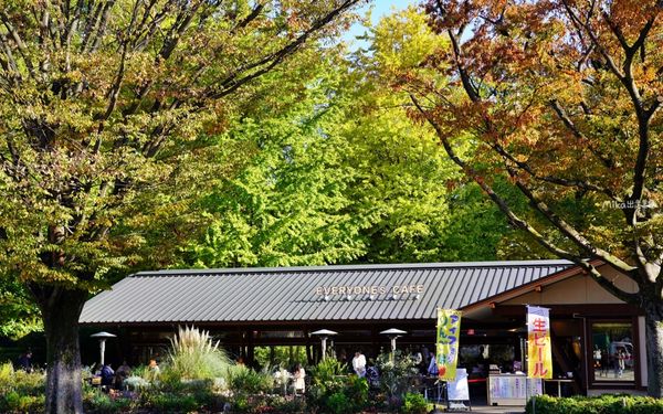 ▲▼日本第一座都市公園！百年歷史城市綠洲　動物園與神社亮點搶先看。（圖／Mika出走美食日誌提供）