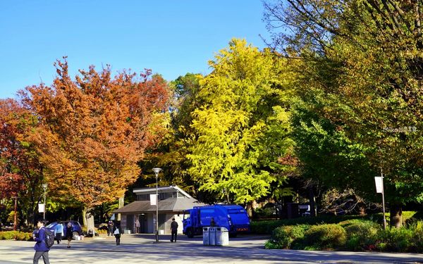 ▲▼日本第一座都市公園！百年歷史城市綠洲　動物園與神社亮點搶先看。（圖／Mika出走美食日誌提供）