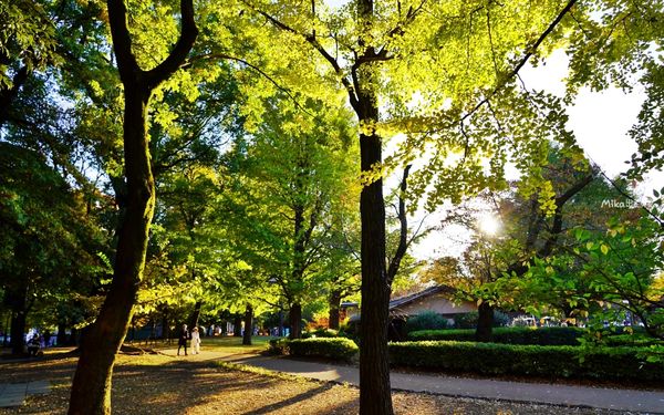 ▲▼日本第一座都市公園！百年歷史城市綠洲　動物園與神社亮點搶先看。（圖／Mika出走美食日誌提供）