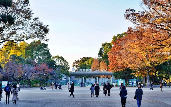 ▲▼日本第一座都市公園！百年歷史城市綠洲　動物園與神社亮點搶先看。（圖／Mika出走美食日誌提供）