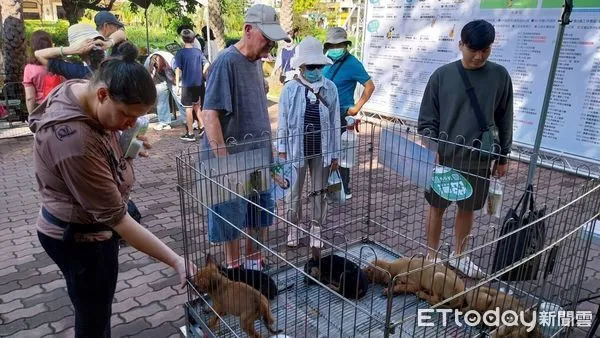 ▲▼動保處全年度不間斷的推出認養措施，其中以「公益櫥窗」計畫結合寵物業者，及辦理「為毛小孩找一個家」認養見面會，為流浪動物找尋幸福的家。（圖／記者吳世龍翻攝）