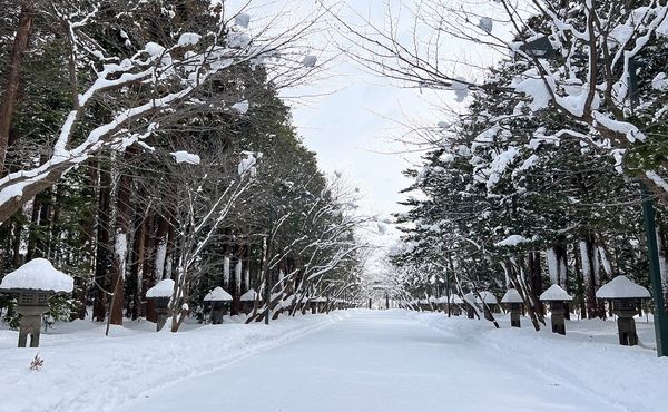 ▲▼北海道冬季遊首選！從札幌到旭岳　雪地美景與滑雪場一網打盡。（圖／CJ夫人提供）
