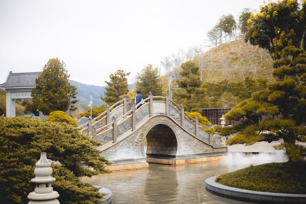 ▲▼埔里免門票落羽松景點，七成旅人都不知道的夢幻落羽松秘境。（圖／部落客黑皮提供）