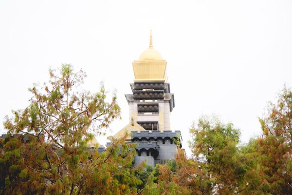 ▲▼埔里免門票落羽松景點，七成旅人都不知道的夢幻落羽松秘境。（圖／部落客黑皮提供）