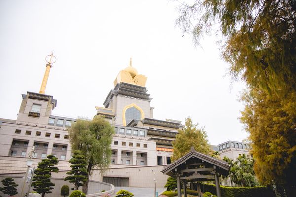 ▲▼埔里免門票落羽松景點，七成旅人都不知道的夢幻落羽松秘境。（圖／部落客黑皮提供）