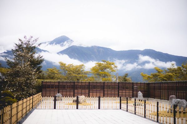 ▲▼埔里免門票落羽松景點，七成旅人都不知道的夢幻落羽松秘境。（圖／部落客黑皮提供）