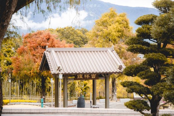 ▲▼埔里免門票落羽松景點，七成旅人都不知道的夢幻落羽松秘境。（圖／部落客黑皮提供）