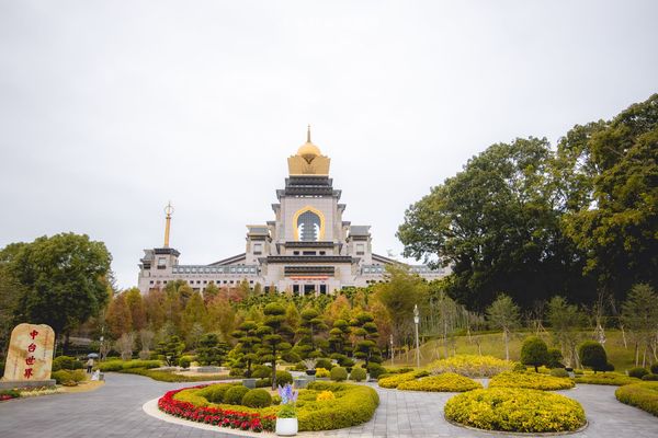 ▲▼埔里免門票落羽松景點，七成旅人都不知道的夢幻落羽松秘境。（圖／部落客黑皮提供）