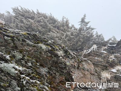 快訊／玉山又下雪了！低溫僅0.5度　雪勢維持35分鐘