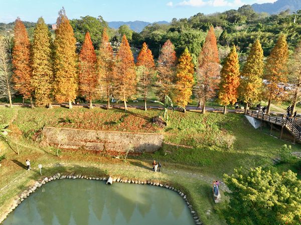 ▲北埔六塘,尖石鄉玉峰楓樹,尖石野溪溫泉,九芎湖落羽松,橫山韓屋大埤,霞喀羅古道照片授權陳國成。（圖／新竹縣政府提供）