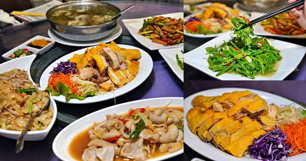 ▲▼老復興飲食店，酸溜夠味薑絲大腸，經濟實惠道地客家菜。（圖／部落客水晶提供）
