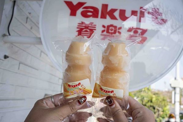 ▲▼嘉義東區美食養樂多冰沙，養樂多化身超卡哇伊冰棒。（圖／部落客美熊提供）