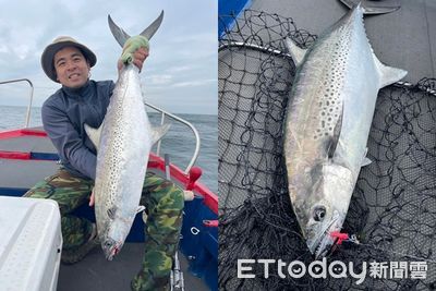 夢幻白鑽上鉤！澎湖海釣客釣起8kg白腹魚　「一尾3萬」入袋