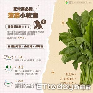 「蔬菜之王」菠菜來自波斯　農糧署教3招去除澀味