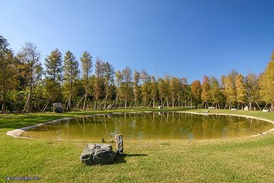 新竹唯美「落羽松餐廳」採全預約制！