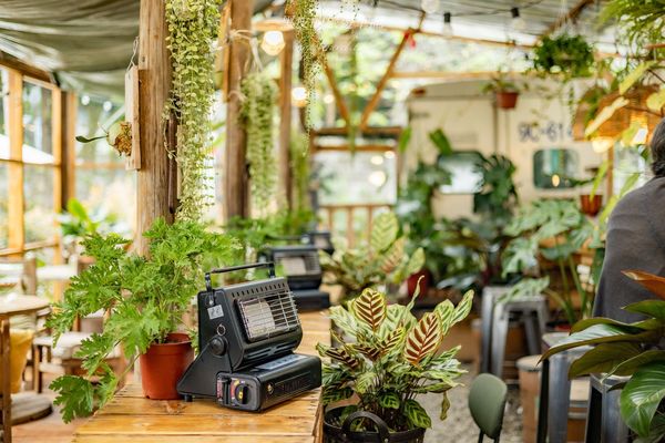 ▲▼茉莉花園caf’e。（圖／部落客黑皮的旅遊筆記授權提供）