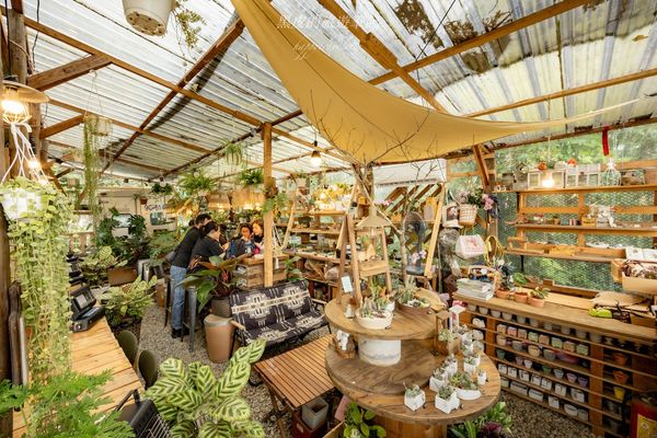 ▲▼茉莉花園caf’e。（圖／部落客黑皮的旅遊筆記授權提供）