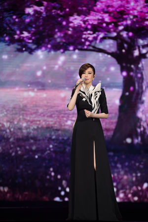 ▲▼主辦單位理性分析，並非所有演唱會都適合抽票實名制，例如江蕙的粉絲年齡層較高變有難度。（圖／寬宏提供）