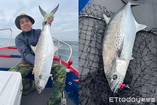 ▲▼顏姓釣客幸運在澎湖外海釣到一尾8公斤多「白鑽」級白腹魚             。（圖／記者陳洋翻攝）