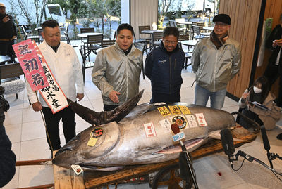 豐洲市場黑鮪魚新年首拍　單尾4142萬創史上第二高價