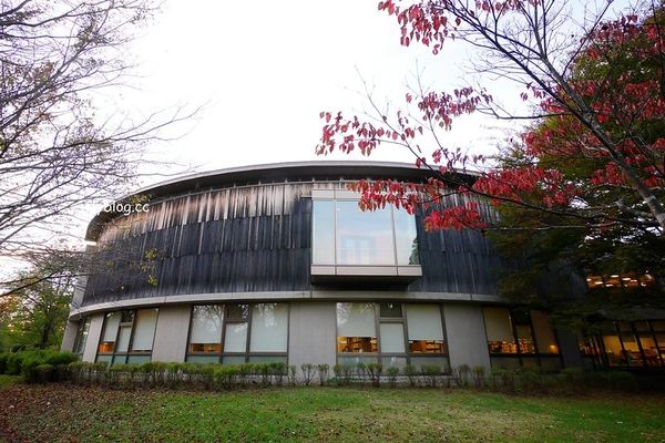 ▲▼日本秋田｜國際教養大學中嶋紀念圖書館。（圖／飛天璇授權提供）