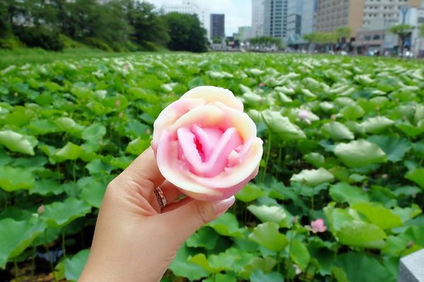 ▲▼在地人推薦秋田十大必吃美食整理包。（圖／部落客飛天璇提供）