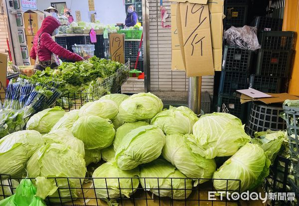 ▲高麗菜近期產量大增，零售價每斤不到20元。（圖／記者楊惠琪攝）