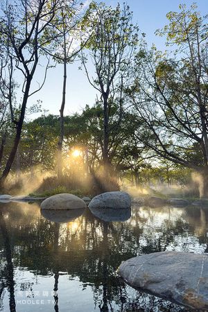 ▲▼內惟森林親水河道超美迷霧森林景點！散步拍照戲水的好去處。（圖／虎麗授權提供）