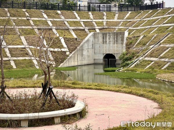 ▲桃園大樹林滯洪池分為相互連通的A、B及C三池，B池「水の秘密基地」需提前預約。（圖／記者彭懷玉攝）