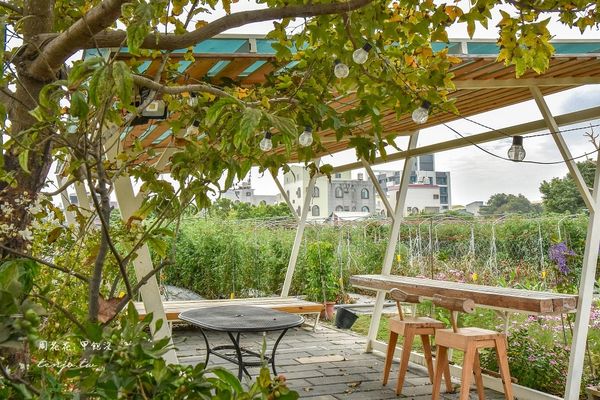 ▲▼田野間的貨櫃屋咖啡店！台南銅板價輕食飲料　自家種蔬果融入菜單。（圖／周花花甲飽沒提供）