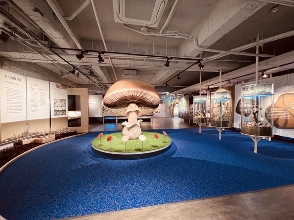 ▲▼霧峰農會邀大家春節期間來走春，看菇菌、品清酒、吃黑翅鳶麵。（圖／霧峰農會酒莊提供，下同）