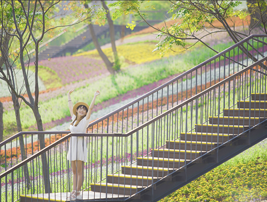 ▲北投三層崎花海1/17開幕。（圖／公園處提供）