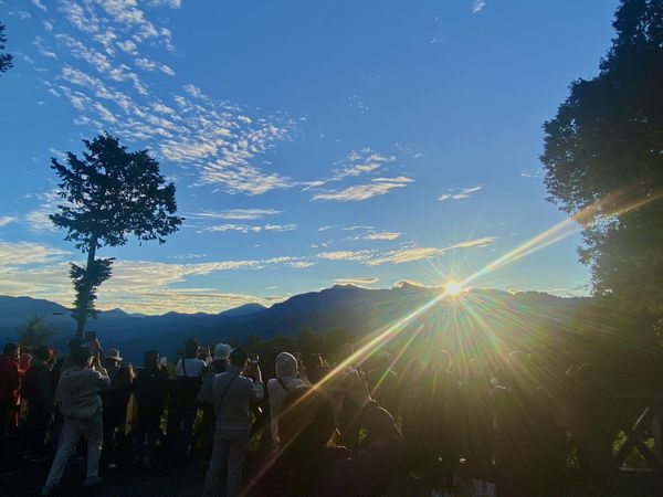 ▲▼             。（圖／阿里山林業鐵路及文化資產管理處提供）