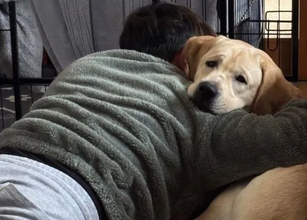 ▲拉拉被爸爸「抱緊處理」覺得困擾　眼神無奈跟媽媽求救。（圖／翻攝自X／@Mary59Noah33）