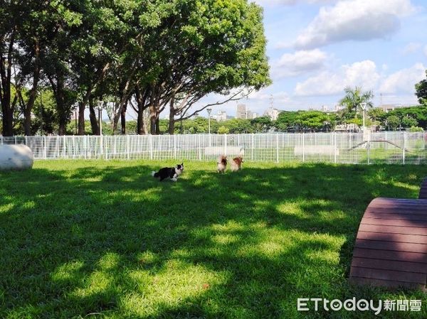 ▲▼春節連假毛小孩也瘋狂！高雄「7座寵物公園」一次看。（圖／記者賴文萱翻攝）