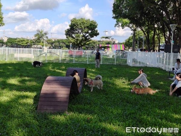 ▲▼春節連假毛小孩也瘋狂！高雄「7座寵物公園」一次看。（圖／記者賴文萱翻攝）