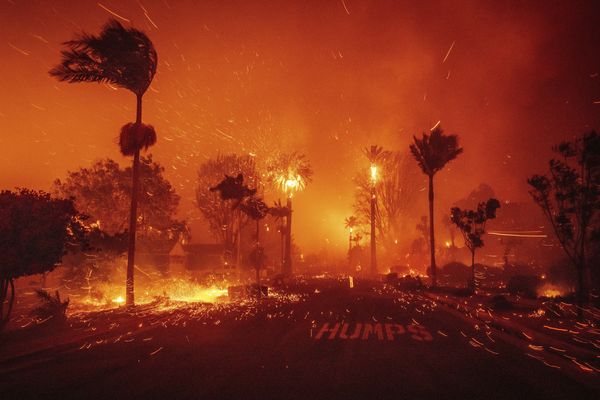 ▲▼ 美國加州洛杉磯野火。「帕利塞德野火」（Palisades Fire）。（圖／達志影像／美聯社）