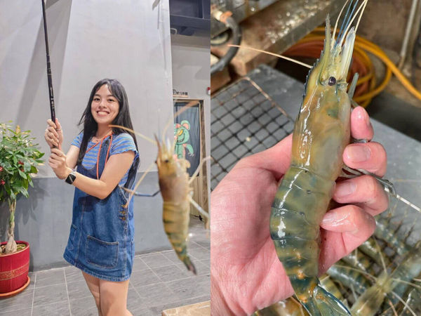 ▲▼嚴選7間新手也能釣的高評價釣蝦場。（圖／ReadyGo提供）