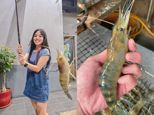 ▲▼嚴選7間新手也能釣的高評價釣蝦場。（圖／ReadyGo提供）