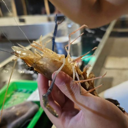 ▲▼嚴選7間新手也能釣的高評價釣蝦場。（圖／ReadyGo提供）