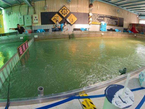 ▲▼嚴選7間新手也能釣的高評價釣蝦場。（圖／ReadyGo提供）